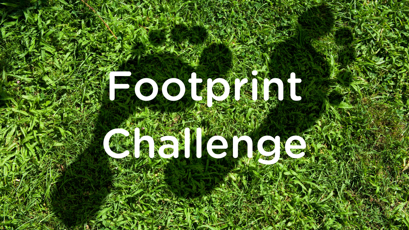 Carbon Footprint Challenge