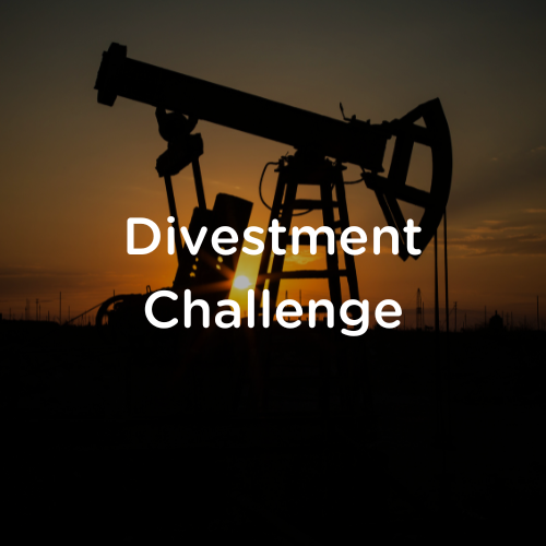 Divestment challenge