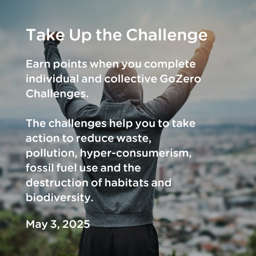 GoZero Challenges