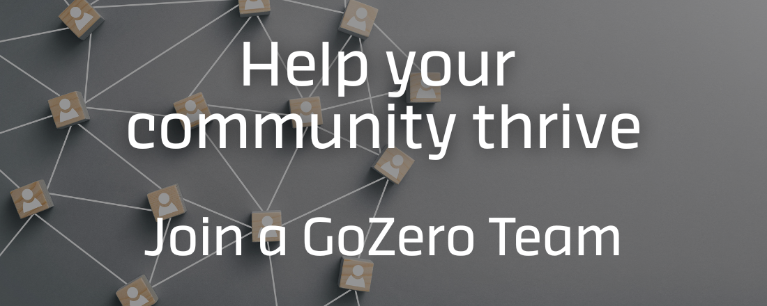 Join a GoZero Team