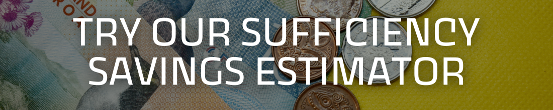 Sufficiency Savings Estimator
