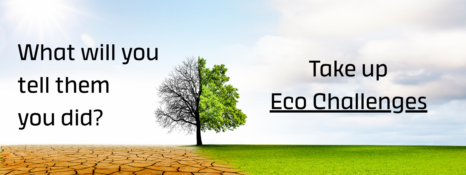Eco Challenges