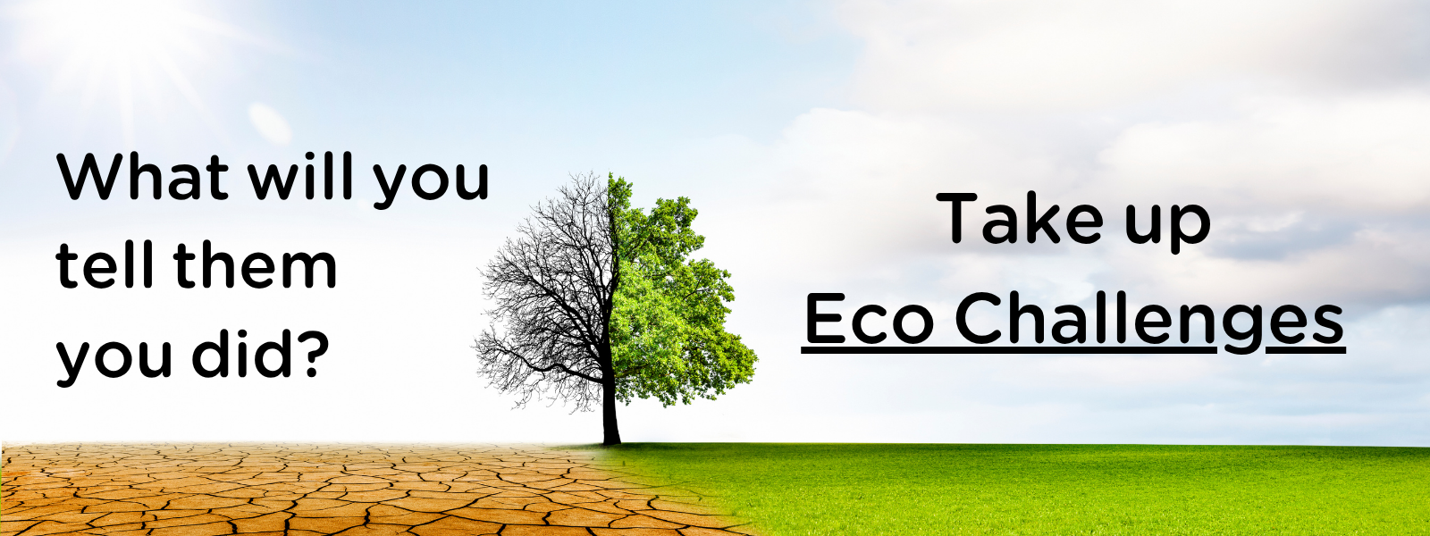 Eco Challenges