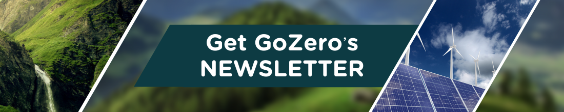 GoZero newsletter