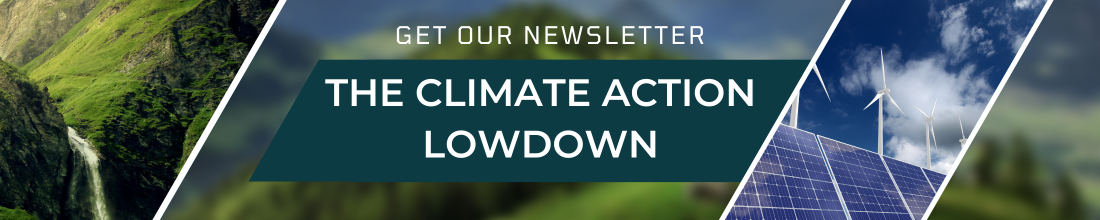 GoZero newsletter The Climate Action Lowdown